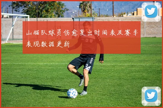 山猫队球员伤愈复出时间表及赛季表现数据更新