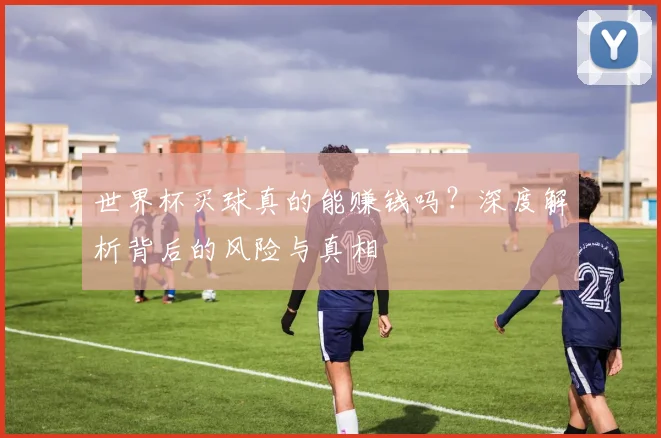 世界杯买球真的能赚钱吗?深度解析背后的风险与真相