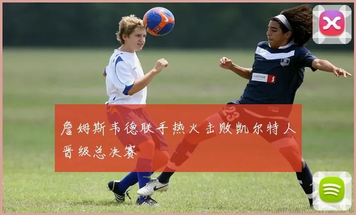 詹姆斯韦德联手热火击败凯尔特人晋级总决赛