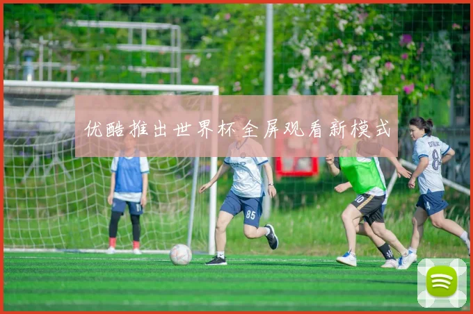 优酷推出世界杯全屏观看新模式