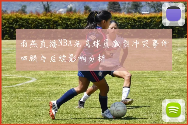 雨燕直播NBA老鸟球员激烈冲突事件回顾与后续影响分析
