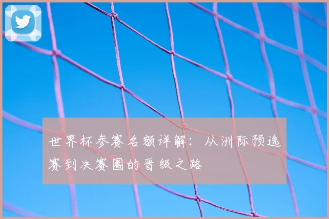 世界杯参赛名额详解：从洲际预选赛到决赛圈的晋级之路