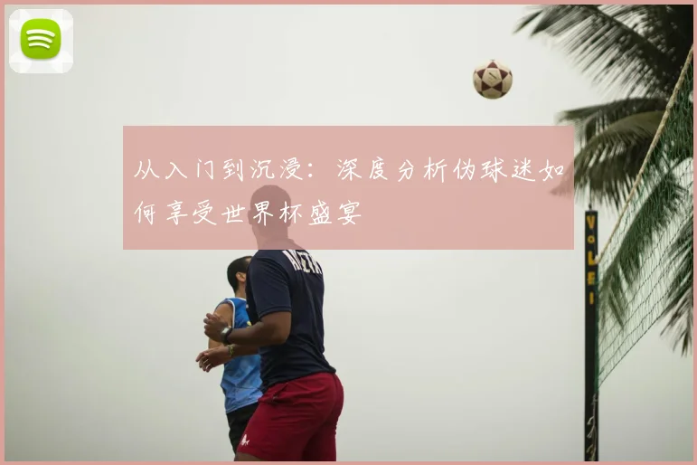 从入门到沉浸：深度分析伪球迷如何享受世界杯盛宴