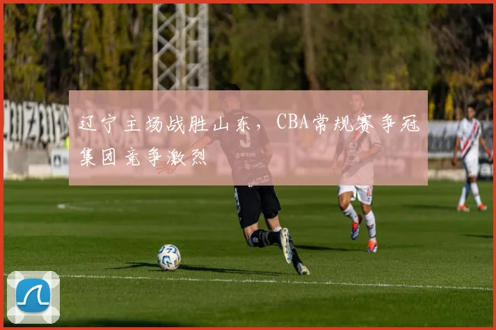 辽宁主场战胜山东,CBA常规赛争冠集团竞争激烈