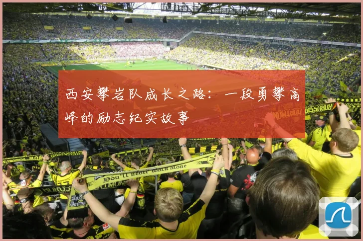 西安攀岩队成长之路：一段勇攀高峰的励志纪实故事