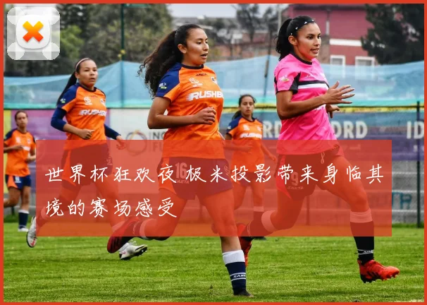 世界杯狂欢夜 极米投影带来身临其境的赛场感受