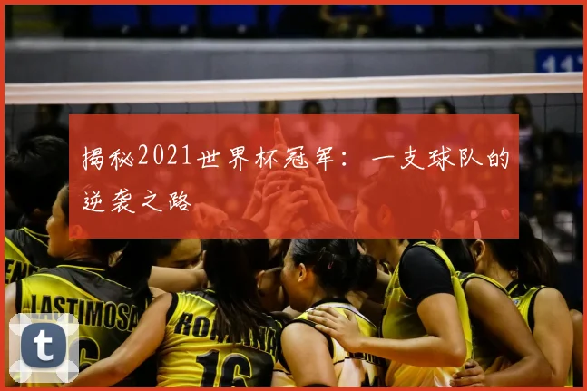 揭秘2021世界杯冠军：一支球队的逆袭之路