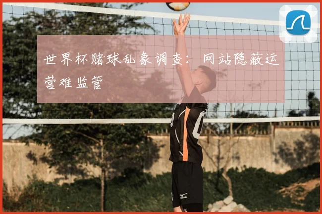 世界杯赌球乱象调查：网站隐蔽运营难监管