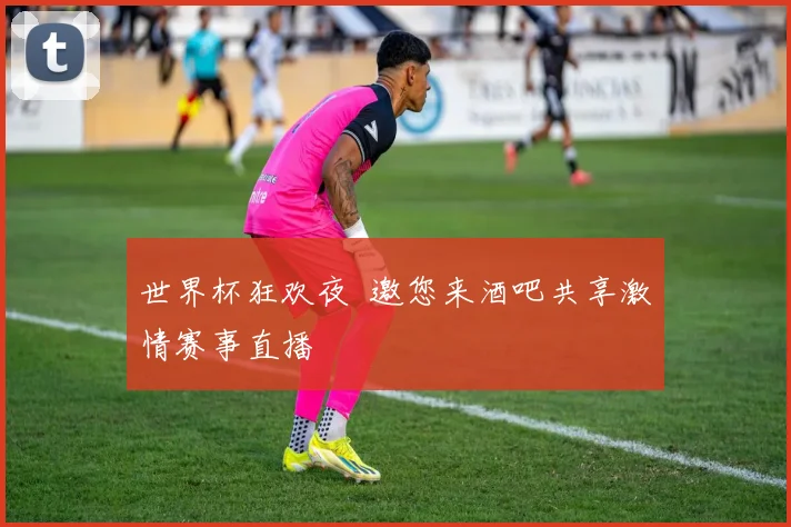 世界杯狂欢夜 邀您来酒吧共享激情赛事直播