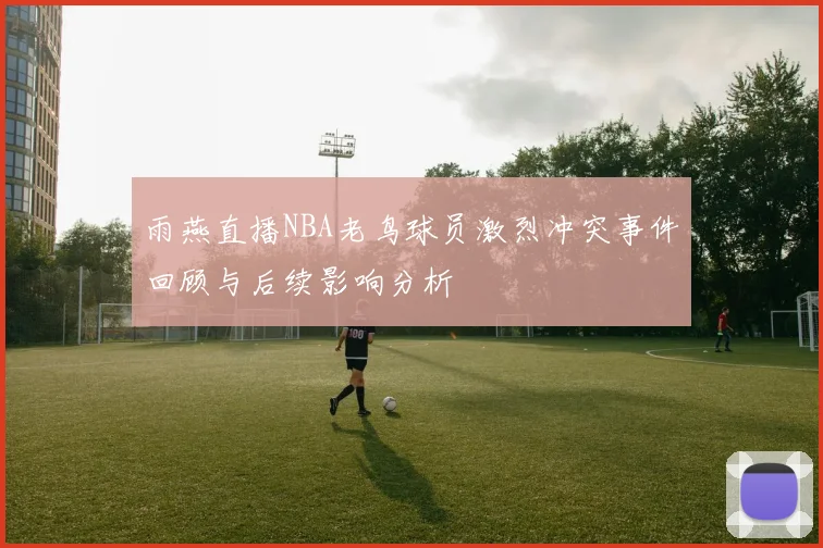 雨燕直播NBA老鸟球员激烈冲突事件回顾与后续影响分析