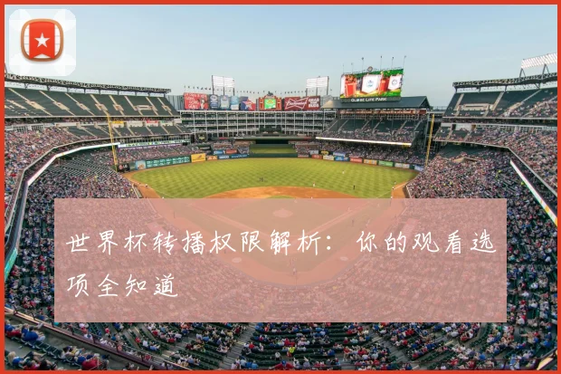 世界杯转播权限解析：你的观看选项全知道