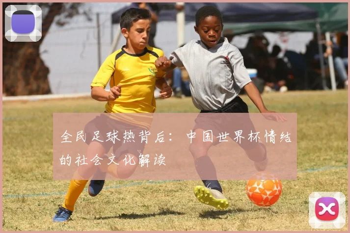 全民足球热背后：中国世界杯情结的社会文化解读
