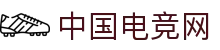 中国电竞网 - 最专业的电子竞技门户网站!